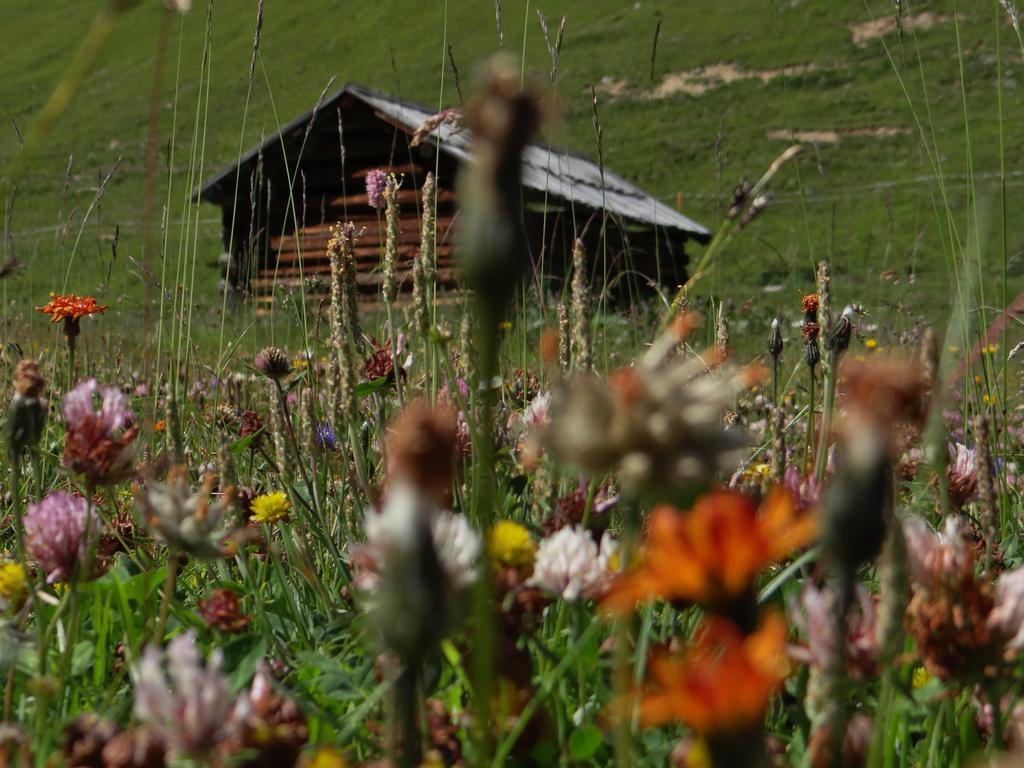 Hotel Silvretta Зерфаус Екстер'єр фото