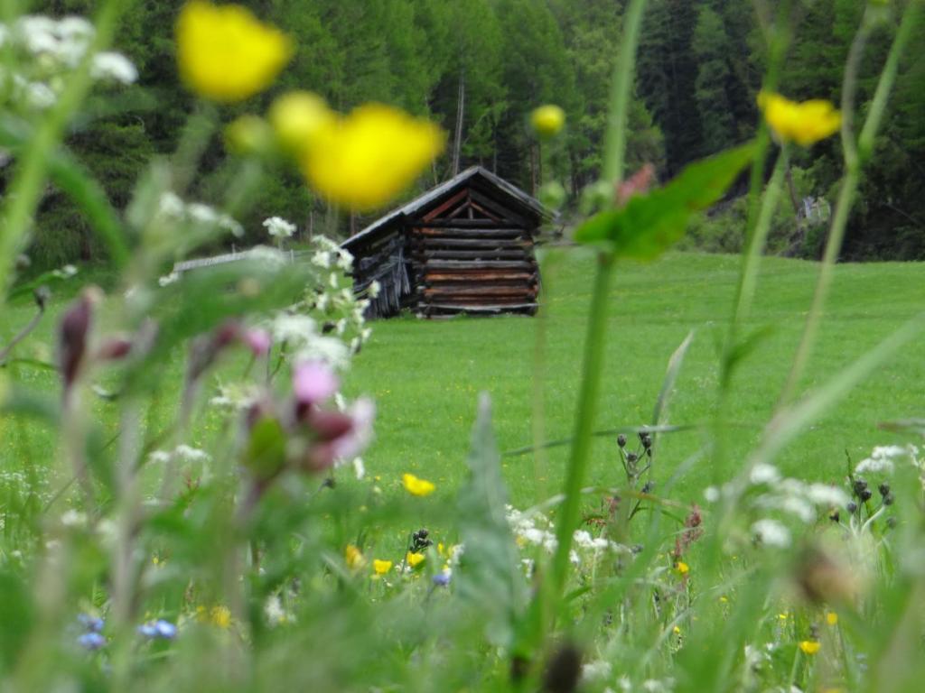 Hotel Silvretta Зерфаус Екстер'єр фото